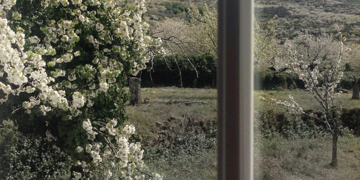 Alojamiento rural en el Valle del Jerte: Apartamento La Duquesa del Valle